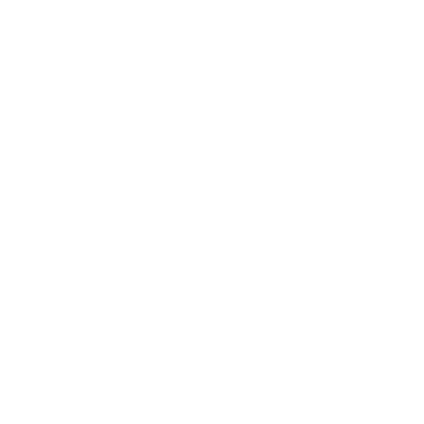 Leeds-united